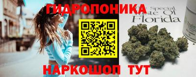винт Дубна